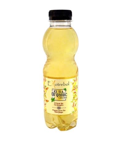 Te Verde con Jengibre Bio Vegan 500ml Ekotrebol