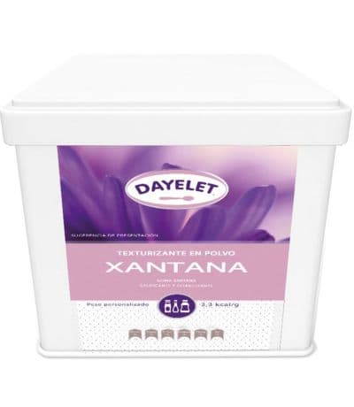 Goma Xantana SinGluten Vegan 500g Dayelet