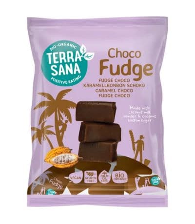 Fudge choco Bio Vegan 150g Terrasana