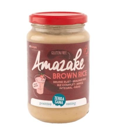 Amazake de Arroz Integral Bio Vegan 380g Terrasana