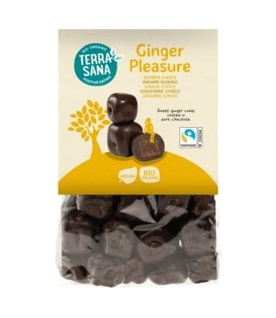 Cubitos Jengibre Choco Eco Ginger Pleasure Veg 150gr Terrasana